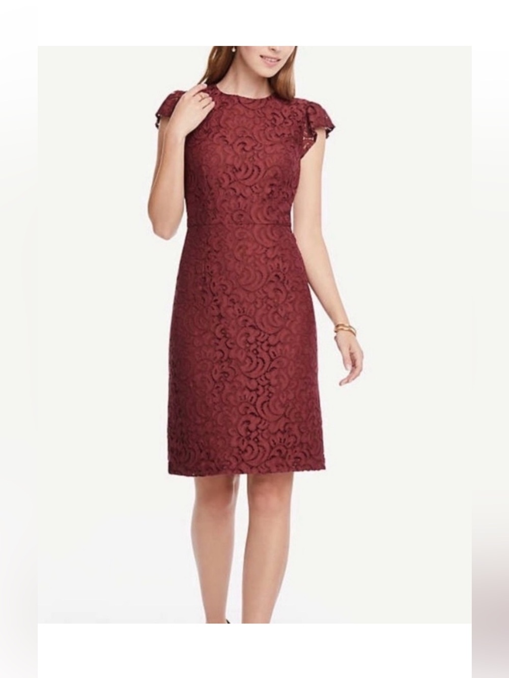 Ann Taylor Petite sz 8P burgundy Lace Midi Dress classic sheath ruffle sleeve
